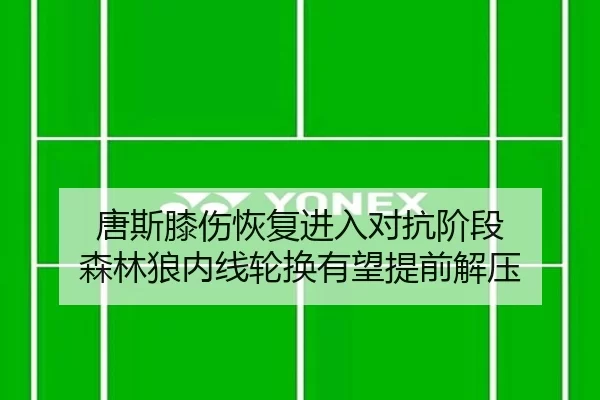 唐斯膝伤恢复进入对抗阶段 森林狼内线轮换有望提前解压