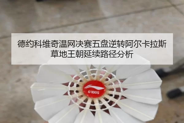 de-yue-ke-wei-qi-wen-wang-jue-sai-wu-pan-ni-zhuan-a-er-ka-la-si-cao-di-wang-chao-yan-xu-lu-jing-fen-xi-3-411.jpg